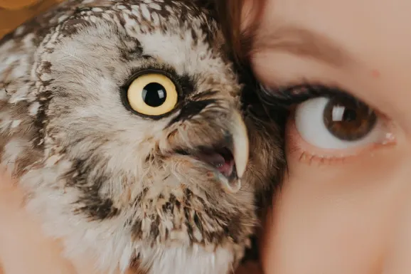 Casino Lucky 31 Kundeservice